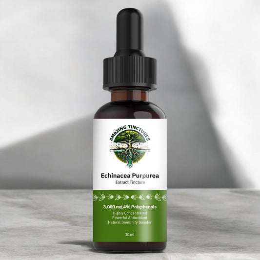 Echinacea Purpurea Tincture